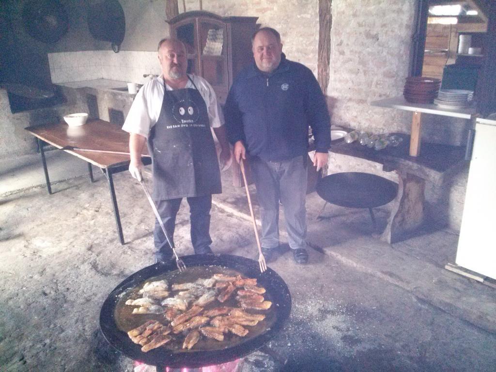 Guest House Zasavica Εξωτερικό φωτογραφία